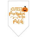 Mirage Pet Products Cutest Pumpkin in the Patch Screen Print BandanaWhite Large 66-426 LGWT